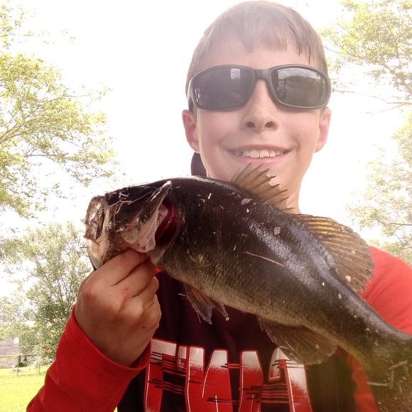 Nothing - Picture 2 of 5